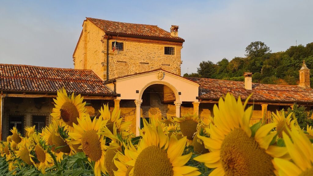 degustazione-raixe-grixe-colli-iberici-vicenza-veneto