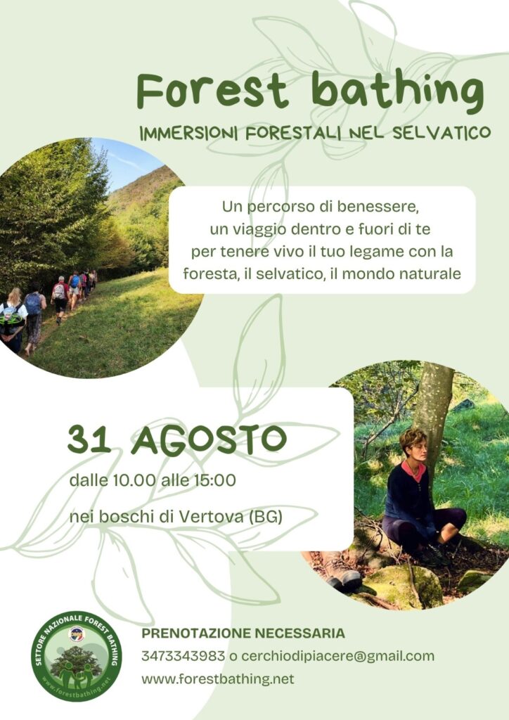 forest-bathing-boschi-di-vertova-bergamo-lombardia-31-agosto-2025
