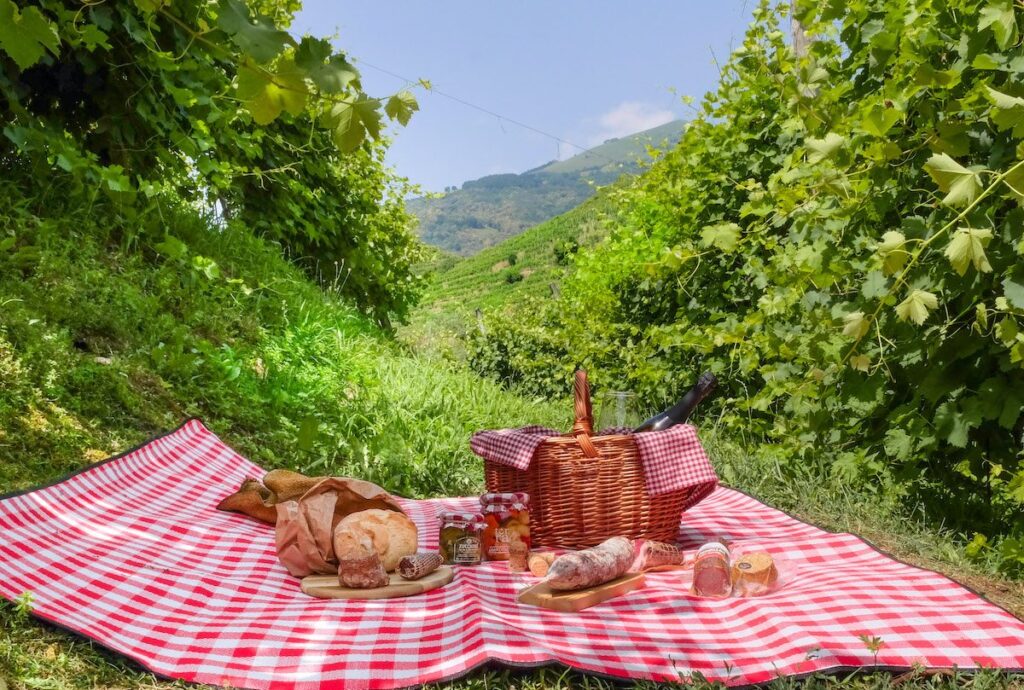picnic-cappuccetto-rosso-vigne-valdobbiadene-veneto