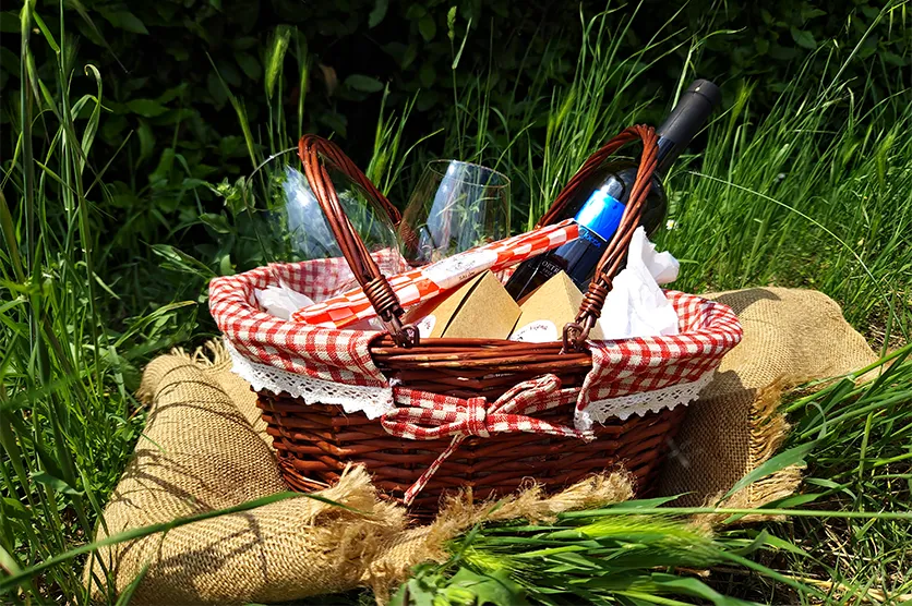 picnic-in-vigna-travazzano-carpaneto-piacentino-luglio-agosto-2025