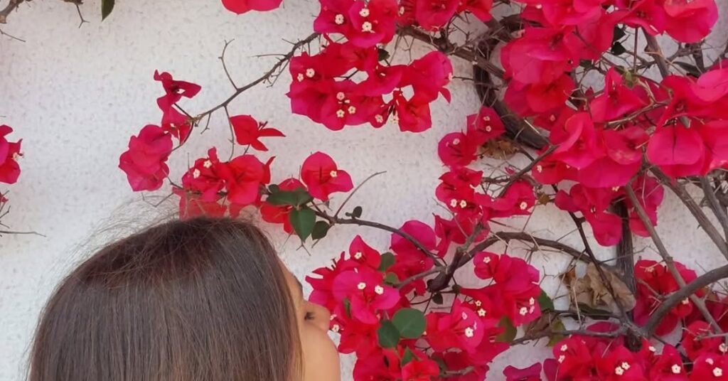 retreat-radici-nodi-carro-liguria-25-26-27-luglio-2025