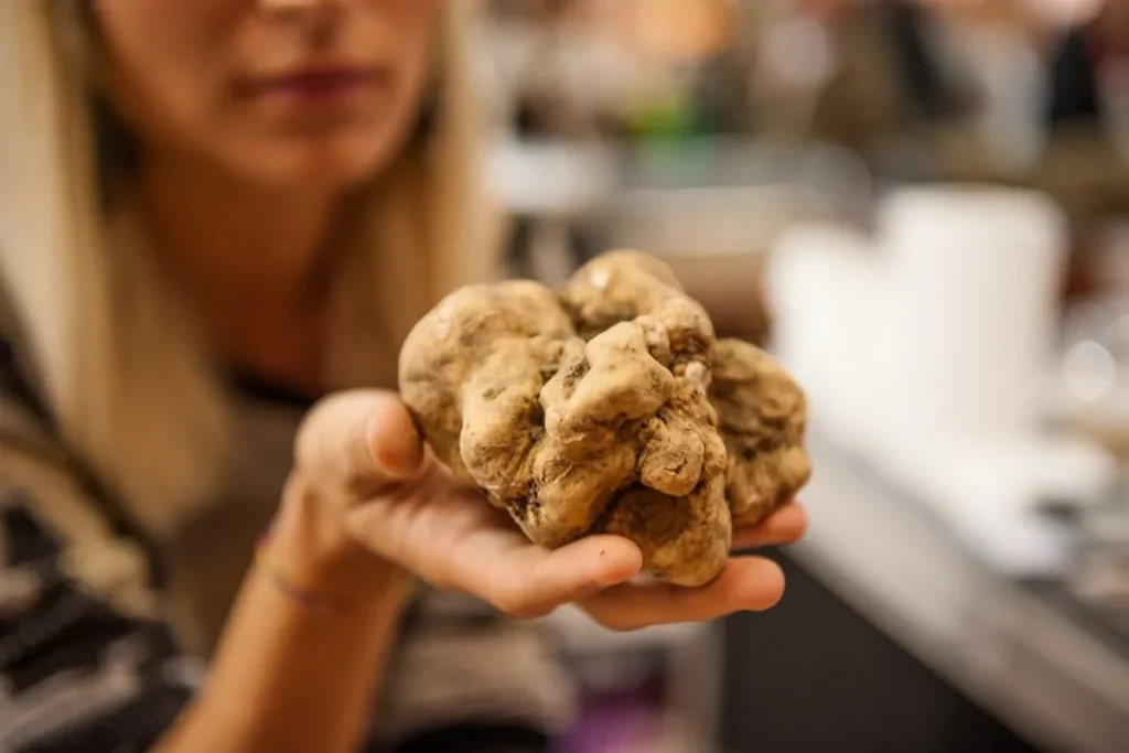 fiera-del-tartufo-di-alba-piemonte-2025