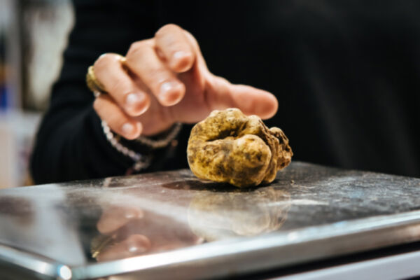 fiera-tartufo-trifola-d-or-murisengo-monferrato-piemonte