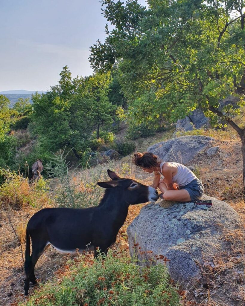 santa caterina dello ionio ritiro calabria yoga asini