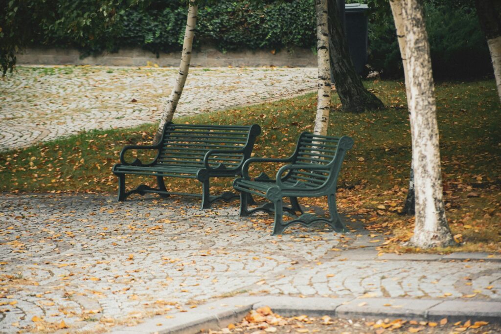 silenzio-neurogenesi-rigenerativo