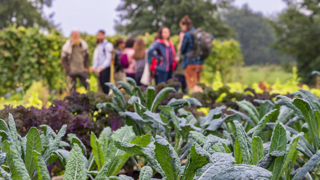 community-garden-giardinaggio-comunitario