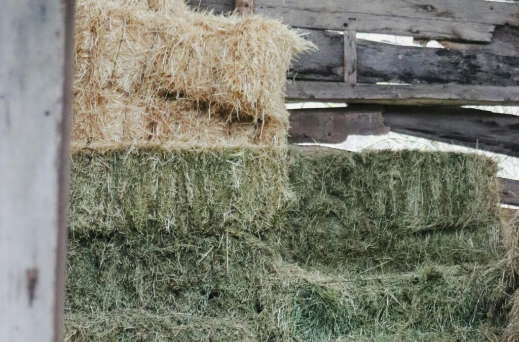 corso-costruzione-paglia