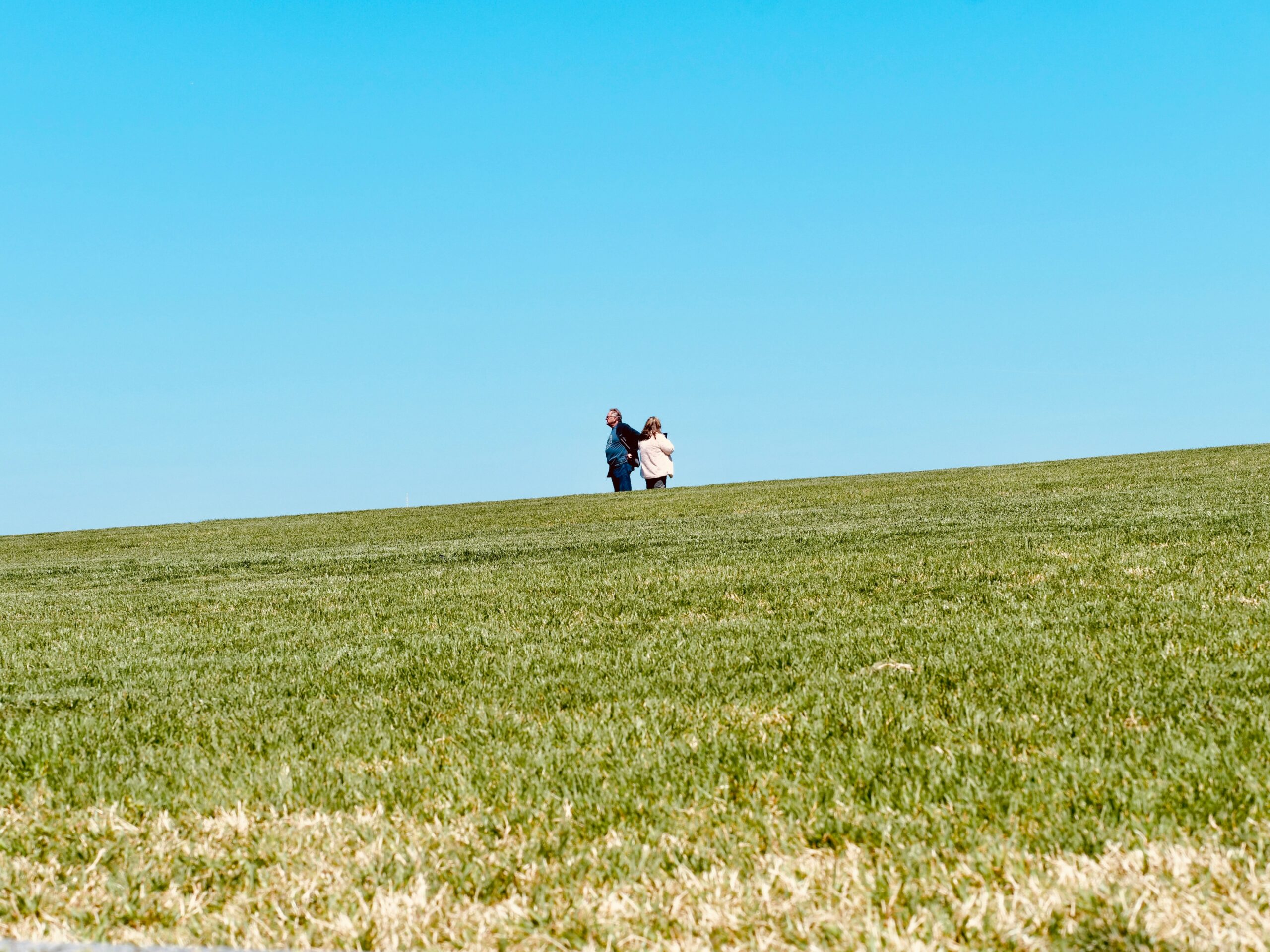 overchoice-meno-opzioni-ci-rendono-più-felici