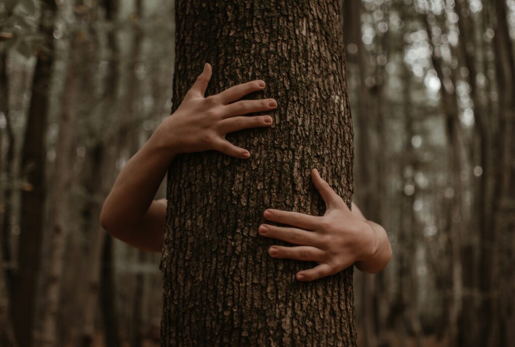 abbracciare-albero-tree-hugging-benefici