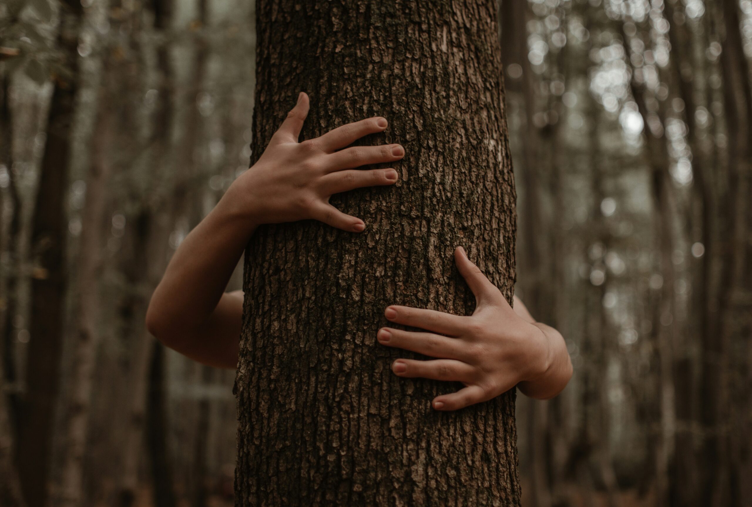 abbracciare-albero-tree-hugging-benefici
