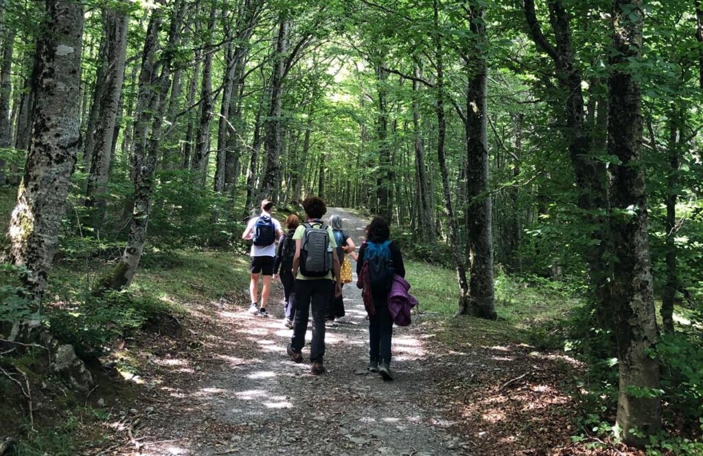 basilicata selvaggia