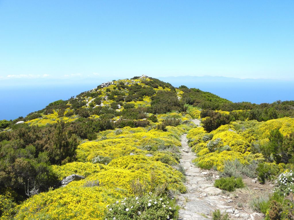 trekking viaggio isola d'elba