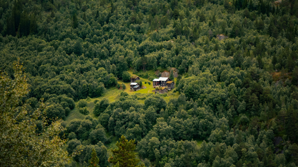 dead-zoning-viaggiare-per-disconnettersi