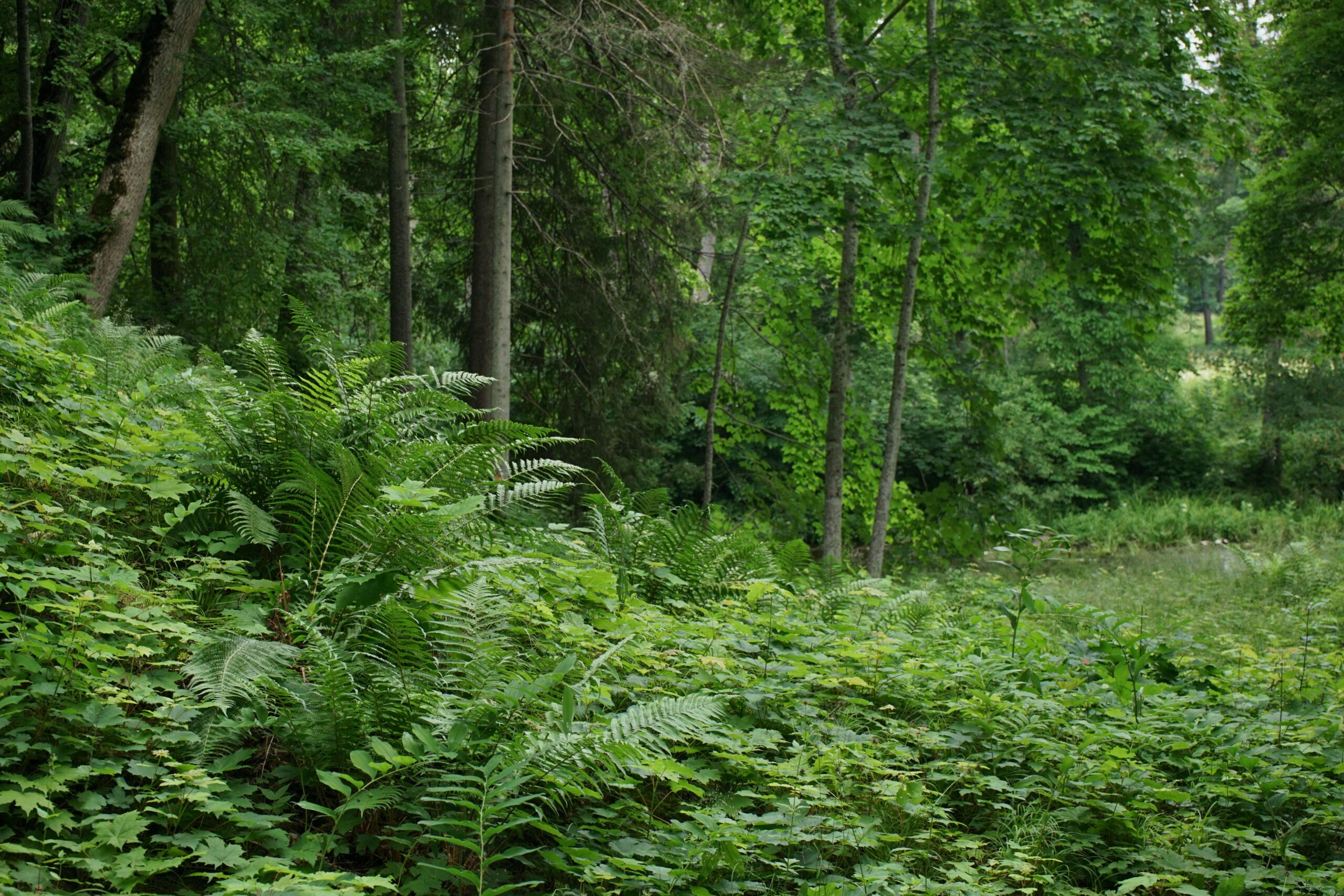 verde-perche-fa-bene